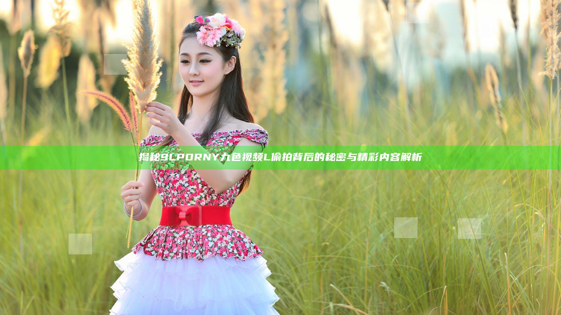 揭秘9LPORNY九色视频L偷拍背后的秘密与精彩内容解析