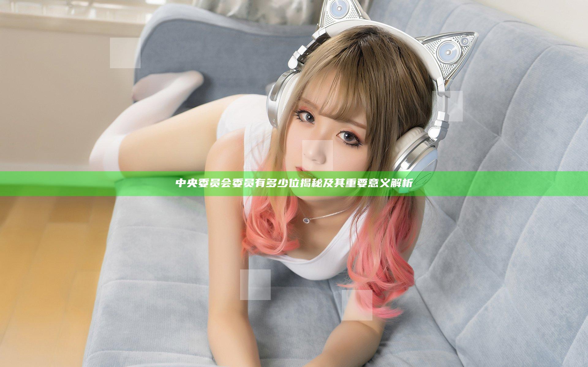 中央委员会委员有多少位揭秘及其重要意义解析
