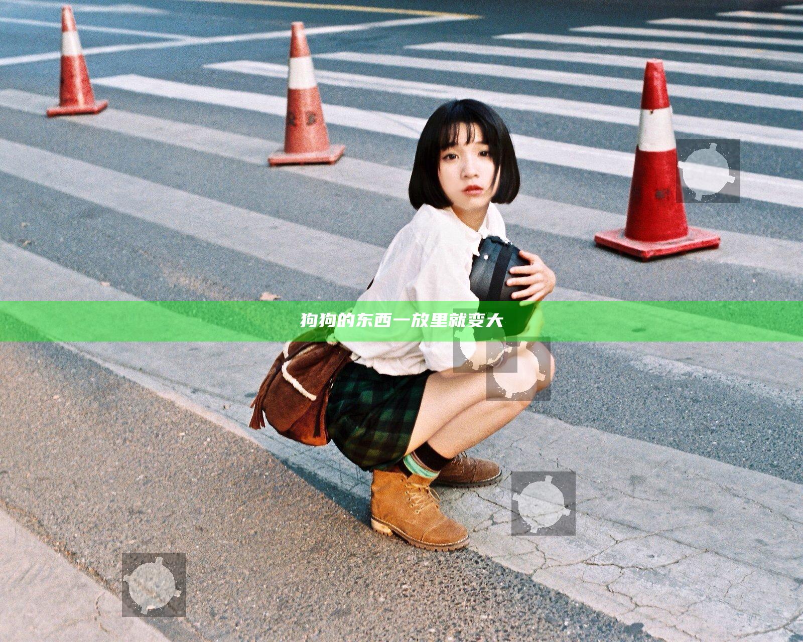 狗狗的东西一放里就变大