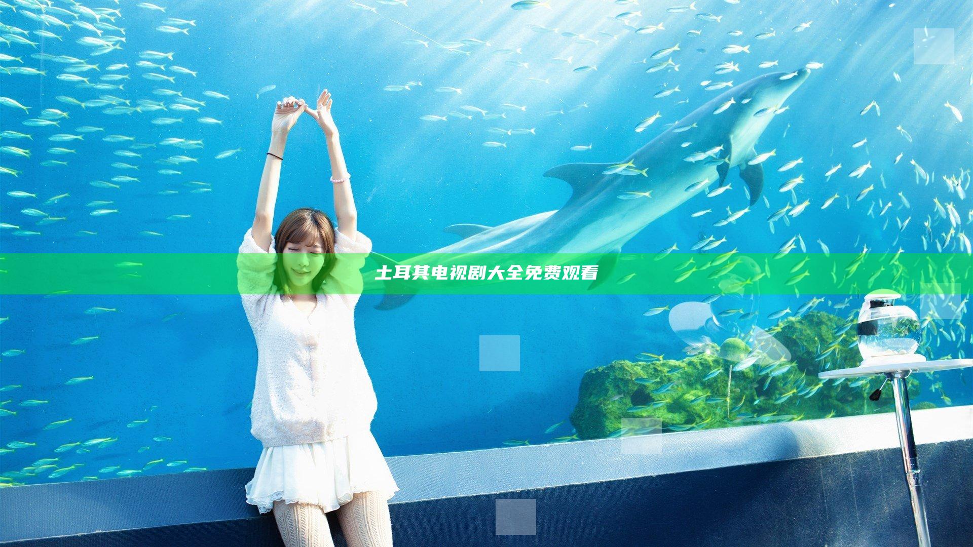 土耳其电视剧大全免费观看