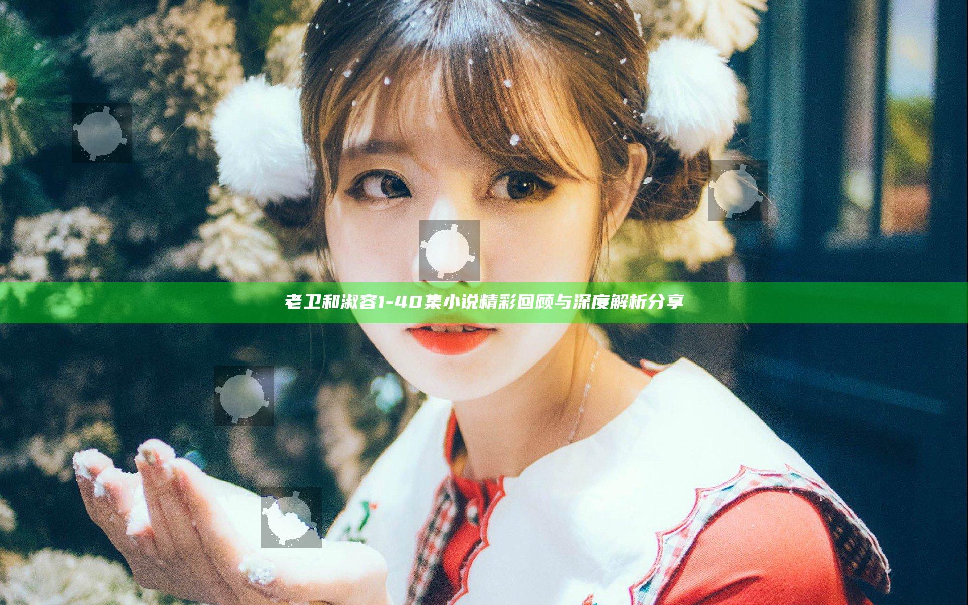 老卫和淑容1-40集小说精彩回顾与深度解析分享